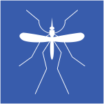 image-icon