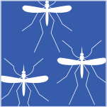 image-icon